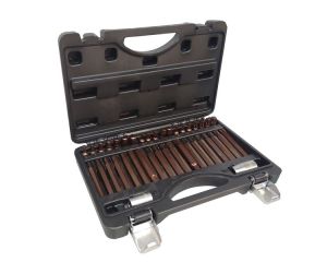 Набор бит с битодержателями "Premium", 40 предметов (10мм)(75/30мм: T20-T55,H4-H12,M5-M12) в пластик 28675       RF-4401D