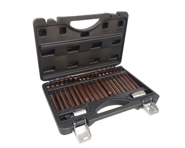 Набор бит с битодержателями "Premium", 40 предметов (10мм)(75/30мм: T20-T55,H4-H12,M5-M12) в пластик 28675       RF-4401D